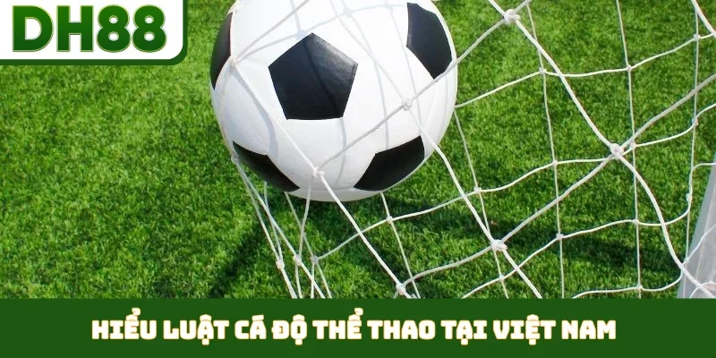 Luật Cá Độ Thể Thao Tại Việt Nam Theo Thông Tin Từ DH88 - bixon