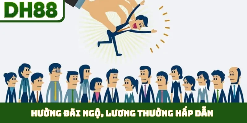 Tuyển Dụng DH88 - Mở Ra Cơ Hội Sự Nghiệp Phát Triển - bixon