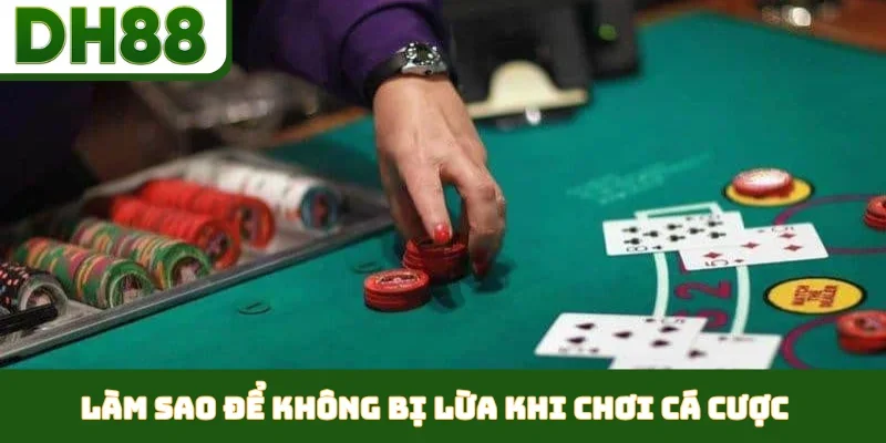 DH88 Lý Giải Làm Sao Để Không Bị Lừa Khi Chơi Cá Cược - bixon
