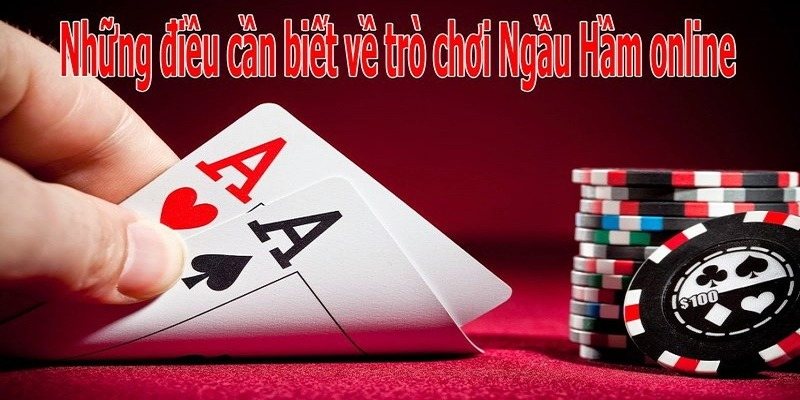 Ngầu Hầm: Hướng Dẫn Chi Tiết Về Trò Chơi Bài Đầy Hấp Dẫn - bixon