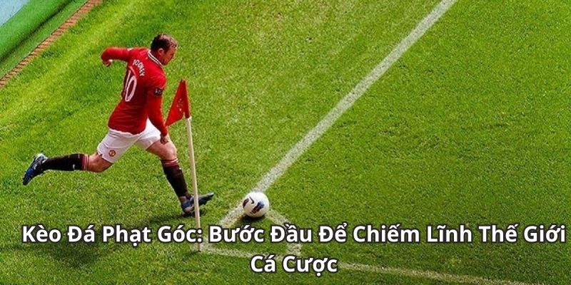 Soi Kèo Phạt Góc: Hướng Dẫn Chi Tiết Cho Người Mới - bixon