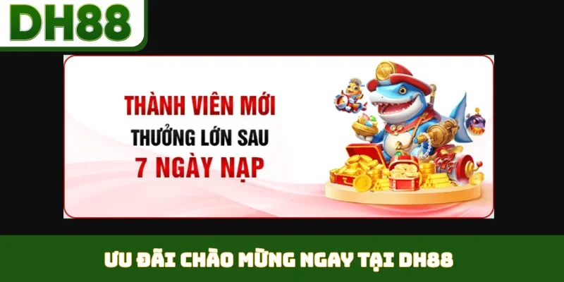 Đăng Ký DH88 - Thao Tác Dễ Dàng, Hoàn Tất Chỉ 2 Phút - bixon