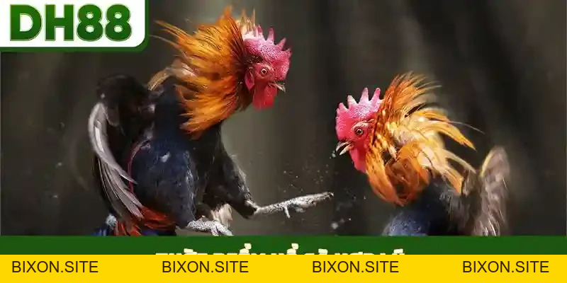 PP Gaming - Khám Phá Sảnh Casino Đẳng Cấp Tại DH88 - bixon